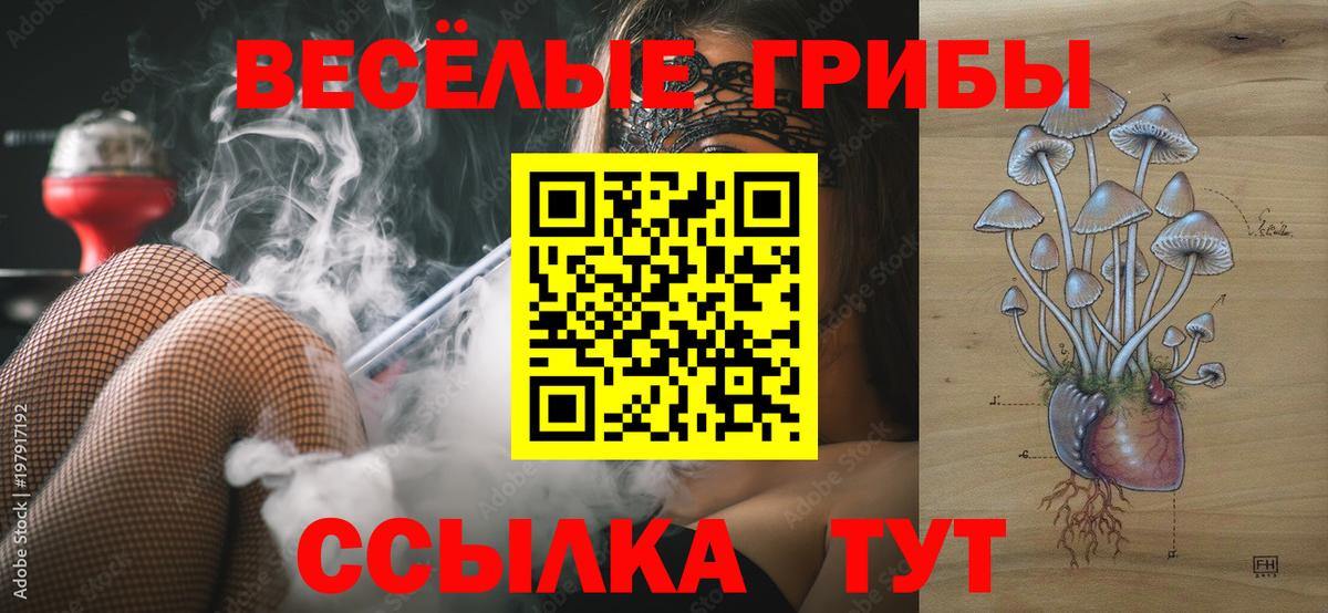 Псилоцибиновые грибы ЛСД Кинель